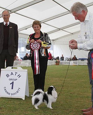 Mr A Allcock MBE Littletigers Damage Case At Sleepyhollow (Imp) It with group judge Mrs J Peak & Mr C J Laurence (President)