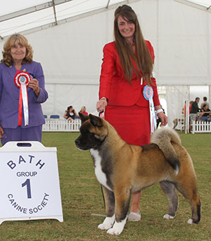 Ms C Bevis, Mrs F Bevis & Mrs R Corr Stecal's Remember My Name with puppy group judge Mrs S Garner 