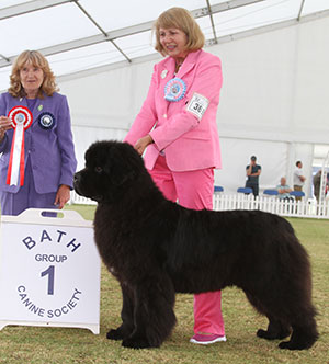 Mrs A P Springthorpe Millthorpe Mr Rochester with puppy group judge Mrs S Garner 