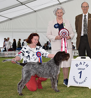 Miss S Blair & Mrs R Soencer Multi Ch Igor Vd Wielervelden At Fidelix (Imp NLD) with group judge Mrs J Illes-Hebbert & Mr C J Laurence (President)