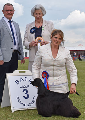 Bryant, Nelson, & Caine, & Lee Sh Ch Nasailleen Secret Liaison with group judge Mrs J Illes-Hebbert & Mr F Whyte (Judge Am Cocker Spaniel)