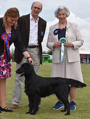 Ms K Anderson Feldkirk Dior Of Kazval with group judge Mrs J Illes-Hebbert