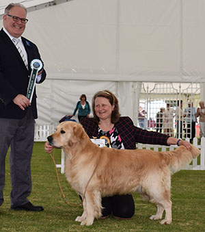 Miss K J Williams Catcombe Country Tzar Of Busheyhall Sh CM with best veteran on the day judge Mr R Morris