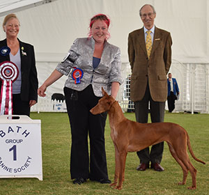 Mr S Fletcher & Miss L Merryweather & Miss J Hall Vaskurs Queen L Qiwidotter To Ynchreenoo (Imp) with group judge Miss J C Dove & Mr C J Laurence 