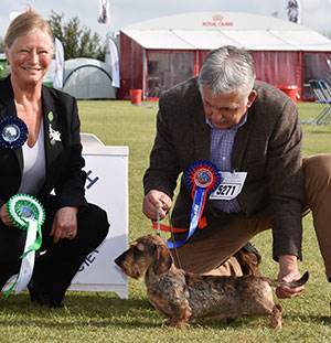 Mr S Rose Ch Ridanflight Ricardo with group judge Miss J C Dove