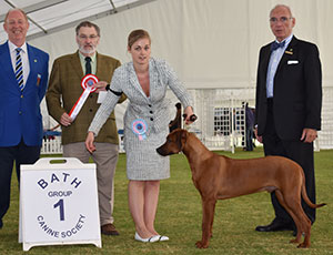 Mr G Timms & Miss O Timms Carlincox Solid Gold with puppy group judge Mr P Wilkinson, Mr C Pascoe (Show Manager) & Mr W Browne-Cole (Chairman) 