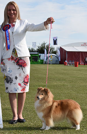 Mrs S Robinson Ch Lavika Good Luck JW