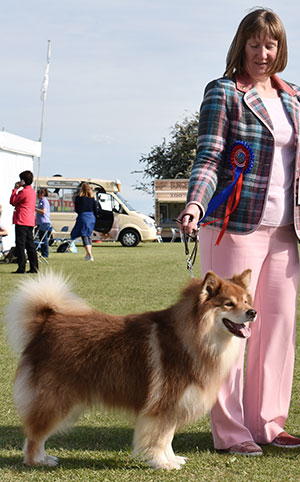 Miss E Meikle & Mr S Henderson Ch Marymead Muskateer Sh.CM