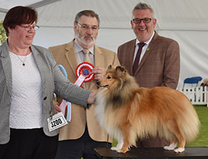 Mr & Mrs J Pattinson Kyleburn Hidden Dream with puppy group judge Mr P Wilkinson & Mr L Cox (Secretary)