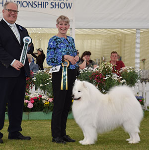 Mrs V Freer & Mrs S Smith Ch Nikara Diamond Dancer JW with best veteran on the day judge Mr R Morris