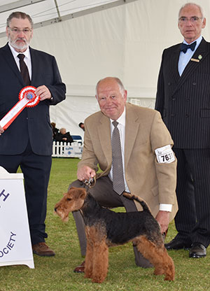 Mr P Davies Perrisblu The Butler with puppy group judge Mr P Wilkinson & Mr W Browne-Cole (Chairman)