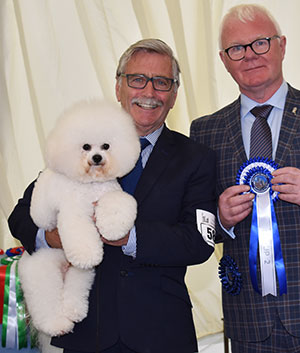 Messrs M Coad & R Smith Ch Regina Bichon You Rock My World at Pamplona with group judge Mr R Sansom