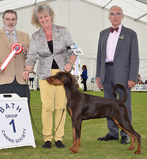 Mrs K Brannan Supeta's Whole Lotta Rosie With Sharhyste with puppy group judge Mr P Wilkinson & Mr W Browne-Cole (Chairman)