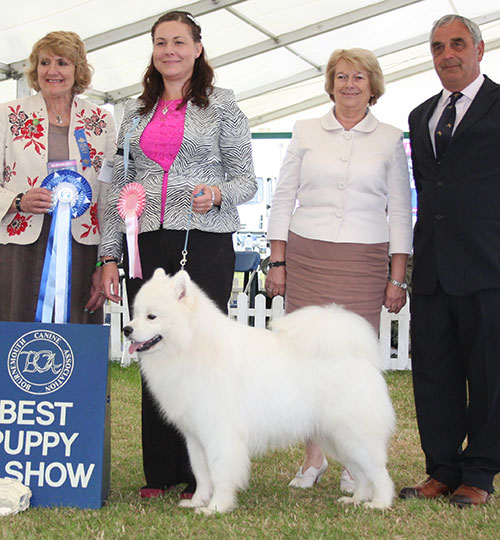 Miss S Griffiths Vandreem Imperial Faro At Puakala with BPIS judge Mrs V Phillips, Mr J Courtney (Show Manager) & Mrs S Duffin (Chief Steward)