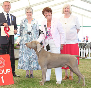 Mrs K A Whitehead Sh Ch Gunalt De Ice At Stridview with group judge Mr F Whyte, Mrs J Stratten (Assistant Secretary) & Mrs V Day (Hon Cup Steward) 