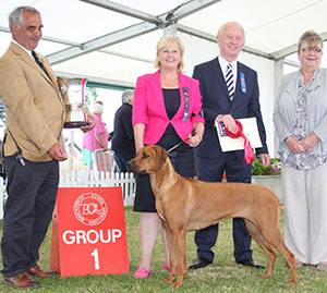 Mrs M L Farleigh Ch Kinabula Bin There Done That with group judge Mr T Johnston, Mr J Courtney (Show Manager) & Mrs J Rotchell (Committee)