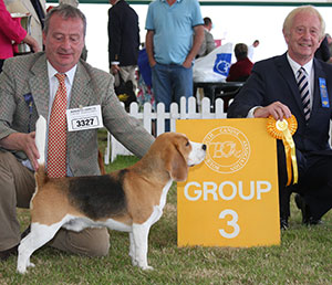 Mr D R Craig Ch Davricard Harrison with group judge Mr T Johnston