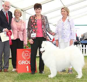 Mrs B & Mr P J Johnson Ch Nikara Iced Diamond JW with group judge Mr C Hastings, Mrs S Duffin (Chief Steward) & Mrs A Jeffery (Committee)