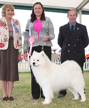 Miss S Griffiths Vandreem Imperial Faro At Puakala with puppy group judge Mrs V Phillips & Mr L Hunt (Committee)
