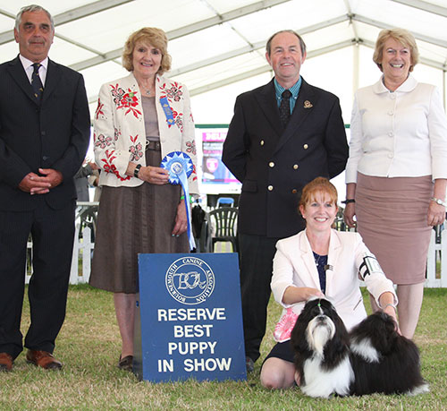 Miss H L Howard Tameron Miss Black Opium with BPIS judge Mrs V Phillips, Mr J Courtney (Show Manager) & Mrs S Duffin (Chief Steward)