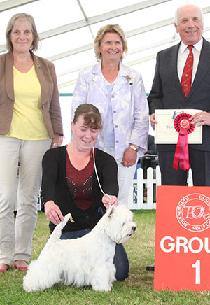 Miss K Gale Bocans Bolt To Bellevue with group judge Mr R Thomas & Mrs A Jeffery (Committee)