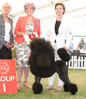 Ms C Sandell SU Ch Da Maya Huffish Copyright Woman with group judge Mrs J Sharp-Bale & Mrs A Dixon (Committee)