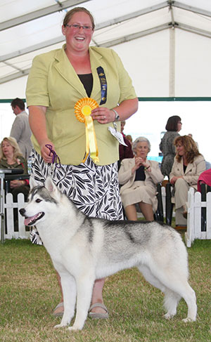 Mrs V Seddon Pelenrise Brite Illusion SIBERIAN HUSKY