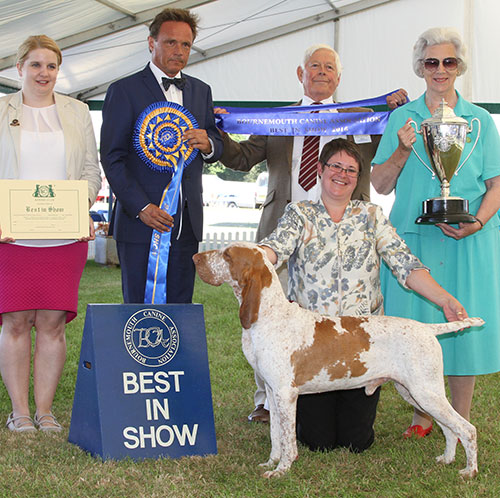Mrs O Nagy-Kovencz Multi Ch Sh Ch Polcevera's Ercole Sh.CM with BIS judge Mr E Engh, Miss K Rotchell (Secretary) & Mrs J Iles-Hebbert (President)