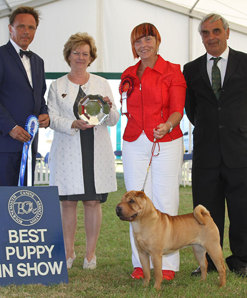 Miss S E Sutherland Witchgait Secret Keepsake with BPIS judge Mr E Engh, Mr J Courtney (Show Manager & Mrs S Duffin (Treasurer) 