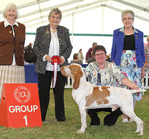 Mrs O Nagy-Kovencz Multi Ch Sh Ch Polcevera's Ercole Sh.CM with group judge Mrs J Miller, Mrs J Stratten (Asst Secretary) & Mrs V Day (Committee)