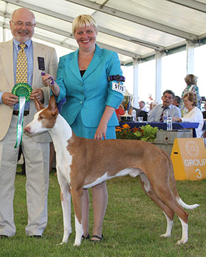 Mrs A Carter & Miss R Hozempa Ch Amahte Runnin On Jamaican Time (Imp) JW Sh.CM with group judge Mr C Thornton