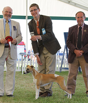 Mr J Winkley-Balmer & Mr C Bryant Crosscop Wishing Upon A Star with puppy group judge Mr C Thornton & Mr L Hunt (Committee)