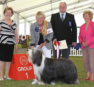 Mr M J & Mrs J Lewis Ch Potterdale Platinum Plus with group judge Mr K Baldwin, Mrs S Duffin (Treasurer) & Mrs A Jeffery (Committee)