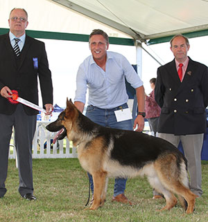 Mr J G Cullen Veneze Toto with puppy group judge Mr K Baldwin & Mr L Hunt (Committee)