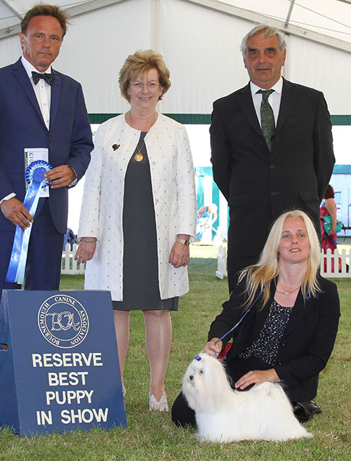 Miss S Jackson & Mrs R Jackson Benatone Gino D'acampo with BPIS judge Mr E Engh, Mr J Courtney (Show Manager) & Mrs S Duffin (Treasurer)