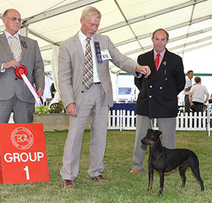 Mr K Carter & Ms C Harrison Ch Digelsa Declaration with group judge Mr P Bakewell & Mr L Hunt (Committee)