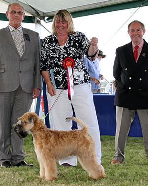 Ms J I Dowdy & Mr G J Dowdy Greentree Gold Mombo To Denzilly with puppy group judge Mr P Bakwell & Mr L Hunt (Committee)