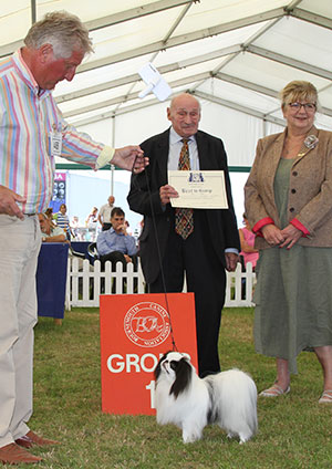 Mr A Allcock MBE Sleepyhollow Robson JW Sh.CM with group judge Mr M Freeman & Mrs J Rotchell (Chief Steward)