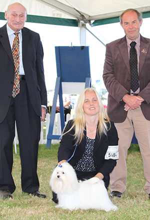 Miss S Jackson & Mrs R Jackson Benatone Gino D'acampo with puppy group judge Mr M Freeman & Mr L Hunt (Committee)