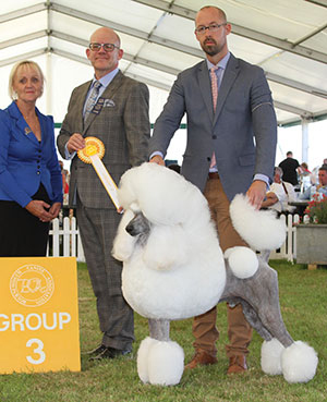 M Nilsson Afterglow Tyrone Power with group judge Mr M James & Mrs A Dixon (Committee)