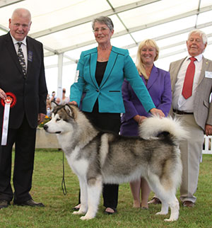 Ms S Ellis & Mrs A Nevinson Chayo Golden Touch with group judge Mr R Searle & Mr J Appleby (Chairman)