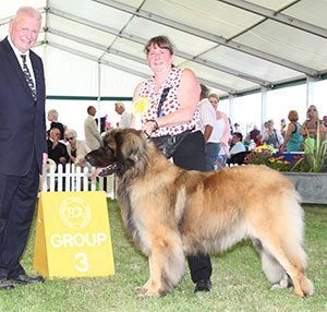 Mrs L C Cleary Sandor Vom Lowengarten For Benellieson (Imp) with group judge Mr R Searle