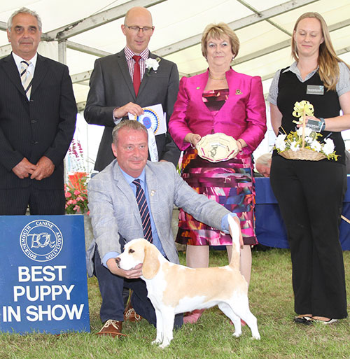 Mr D R Craig Davricard Honeybee with BPIS judge Mr G B Roberton, Mrs S Duffin (Secretary) & Mr J Courtney (Show Manager)