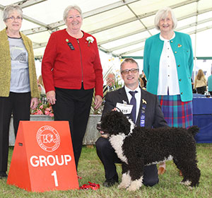 Mr & Mrs N & Mr B Egginton Valentisimo's Guerrero with group judge Mrs P Blay, Mrs V Day (Hon.Cup Steward) & Mrs J Stratten (Asst Secretary)