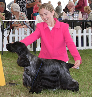 Miss S Amos-Jones Sh Ch Veratey Vincenzo At Cassom JW