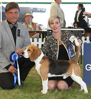 Miss M Spavin Ch Dialynne Peter Piper with group judge Mr E Engh