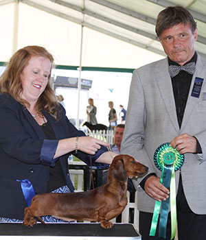 Mr & Mrs J Blackburn-Bennett Ch Stargang Cherry Berry with group judge Mr E Engh