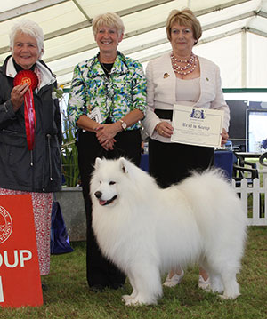 Mrs V Freer & Mrs S Smith Ch Nikara Diamond Dancer JW with group judge Miss J Lanning & Mrs S Duffin (Secretary)