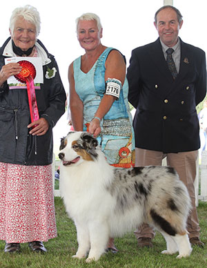Mr N & Mrs A Allan Allmark The Sequel with puppy group judge Miss J Lanning & Mr L Hunt (Committee)