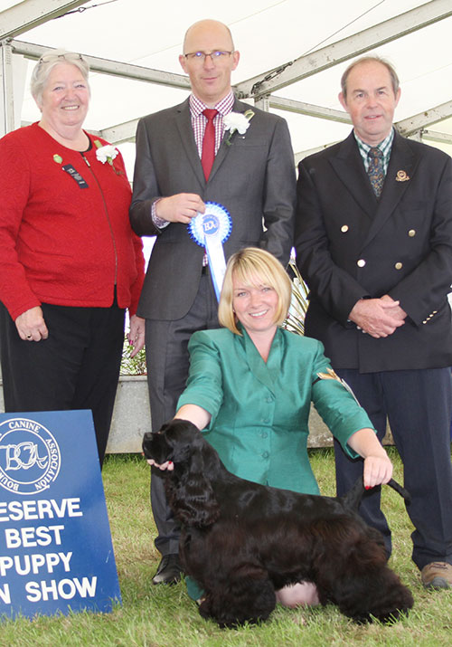 Miss S Crummy, Mr T Atkinson & Mr A Yau Afterglow Life Of Brian with BPIS judge Mr G B Robertson, Mr L Hunt (Committee) & Mrs P Blay (Gundog Judge)